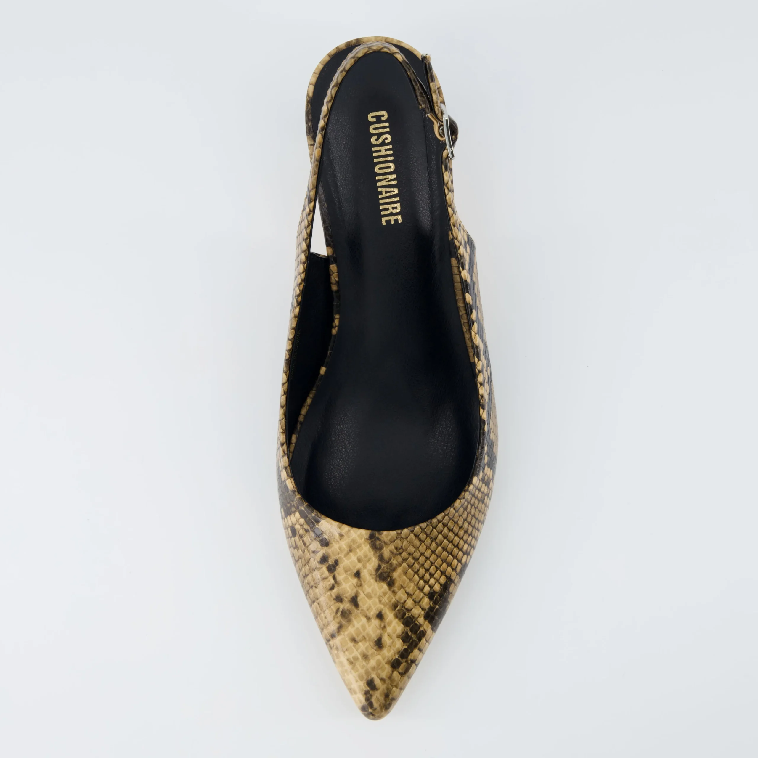 Pumps>Cushionaire Boss Slingback Heels